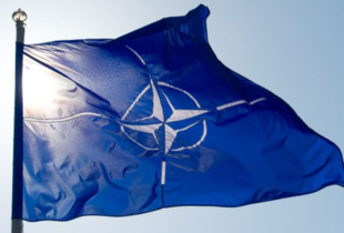 Парламентська асамблея НАТО закликала дозволити Україні бити західною зброєю по росії