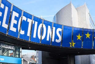 Вибори до Європарламенту-2024: як відбуваються та чому важливі для України