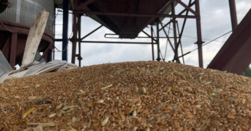 Євросоюз підвищить тарифи на імпорт зерна з росії й Білорусі