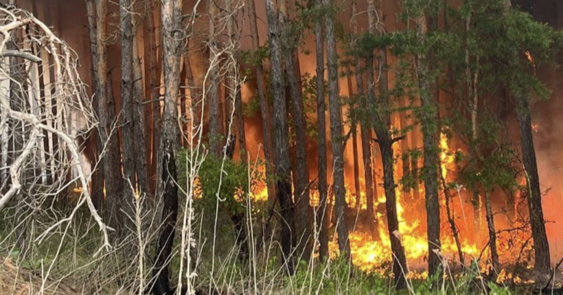 На Харківщині спалахнули дев’ять лісових пожеж: рятувальники працюють у надважких умовах