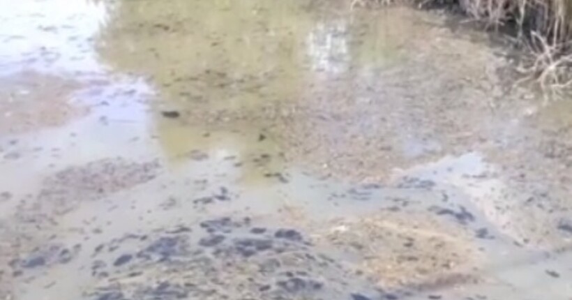 Окупанти доводять річку Кальчик у Маріуполі до висихання