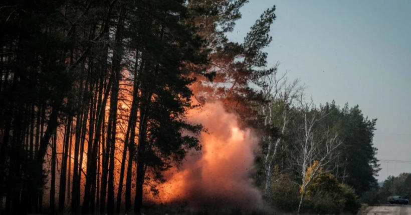 На окупованій Луганщині від початку року пожежі знищили 7000 гектарів лісів
