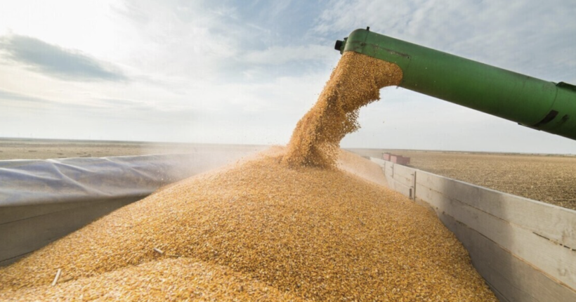 Шмигаль: Попри ризик з боку рф Україна продовжує доставляти зерно країнам