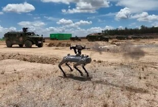 Китайські озброєні кулеметами робособаки спровокували занепокоєння у США
