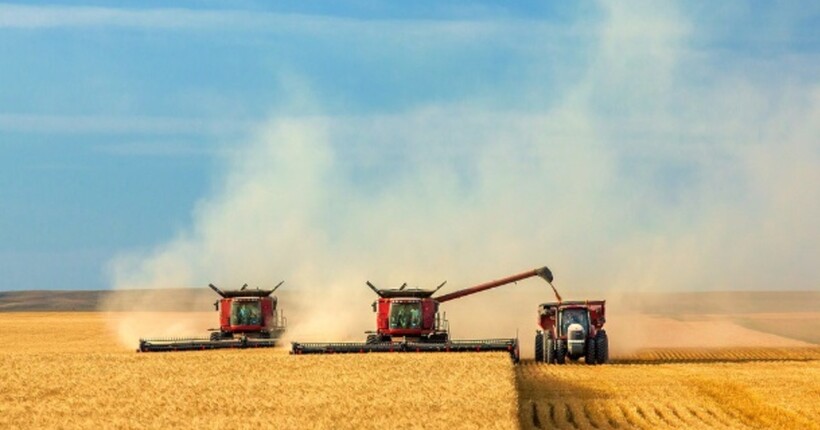 Підтримка аграріїв: ДАР відкриває прийом заявок на субсидії