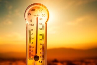 Україну накриє потужна спека: 30 червня температура сягне +36°C