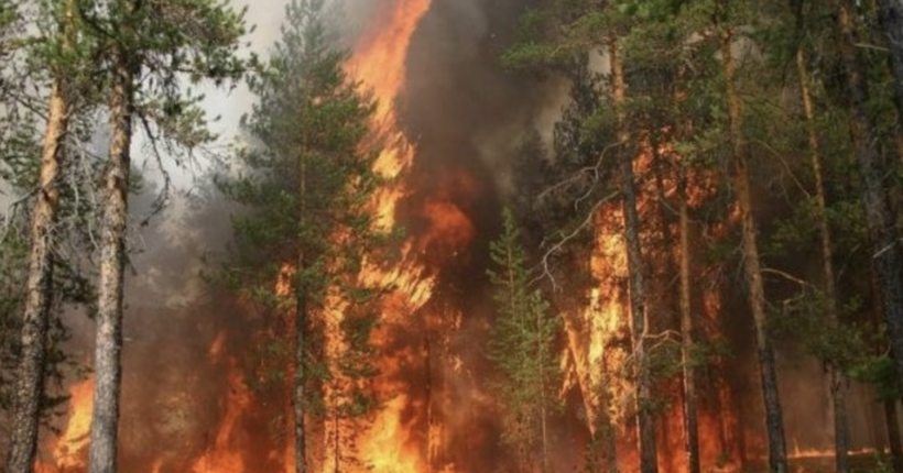 Три провінції у Туреччині охопили лісові пожежі: мешканців евакуювали
