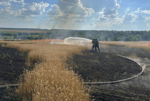 Знищення урожаю: ворог цілеспрямовано обстріляв пшеничне поле на Харківщині