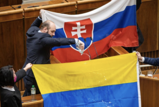 Словаччина збільшить обсяги експорту електроенергії в Україну