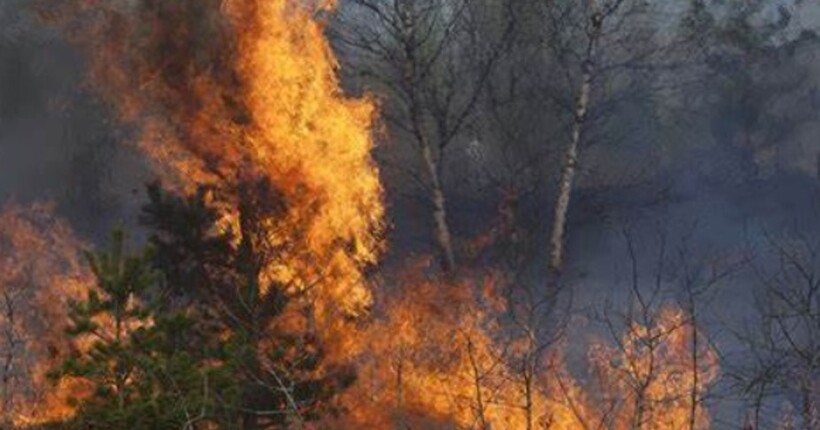 Палають Кремінські ліси, вогонь дійшов до будинків на ТОТ, - Луганська ОВА 