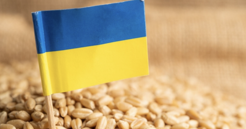 МЗС: Україна відправила вантаж борошна до Палестини