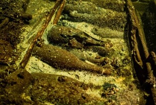 Дайвери випадково знайшли в Балтійському морі затоплений корабель, повний ящиками з шампанським