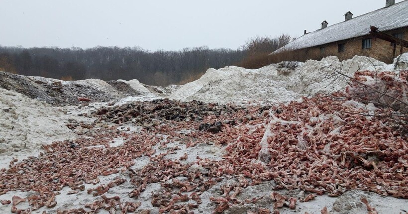 На Київщині завершили розслідування забруднення земель на понад мільйон гривень