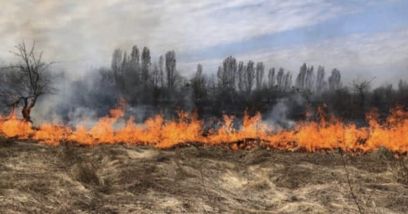 На Харківщині спалахнула масштабна лісова пожежа: у регіоні проводять евакуацію