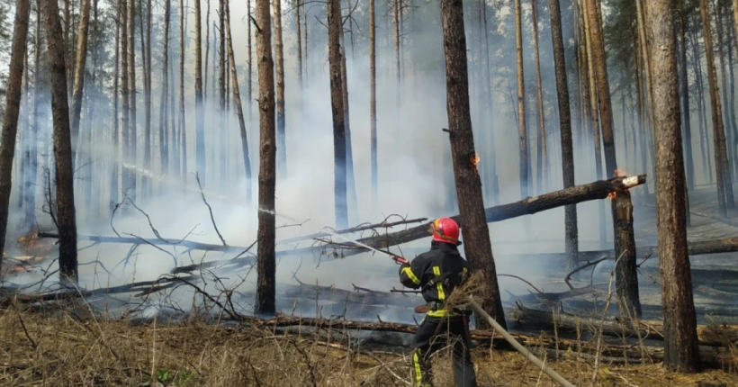 Рятувальники загасили масштабну пожежу в нацпарку 