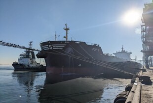 Росіяни саботують роботу зернового коридору: Братчук розповів, як нині працюють українські порти 
