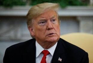 "Ми також не їмо котів": в МЗС Німеччини відповіли Трампу після дебатів
