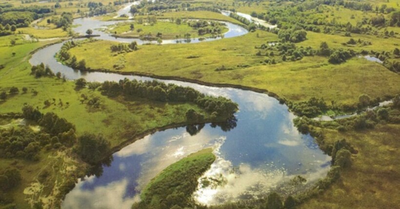 Річку Сейм забруднили стічними водами з цукрового заводу в РФ, — Міндовкілля