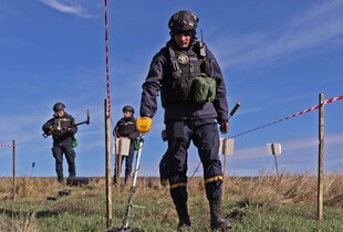 Швейцарія у жовтні проведе конференцію з розмінування України