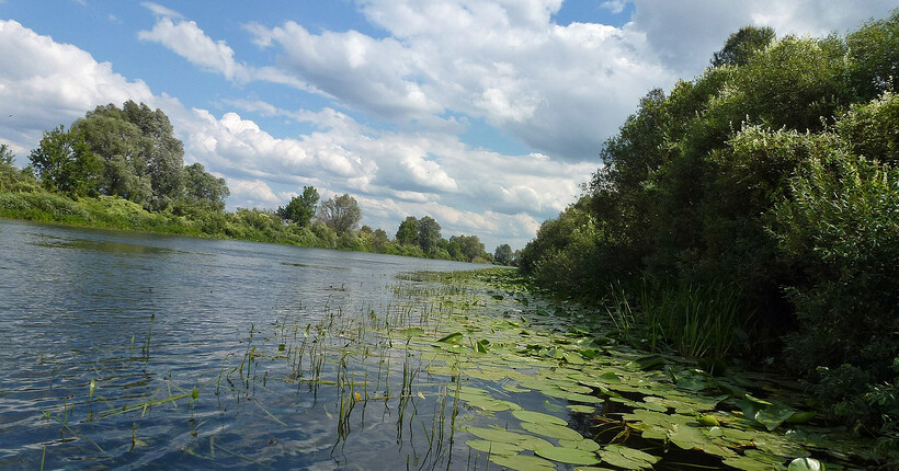 На річці Сейм зафіксовано повторне забруднення, - Міндовкілля