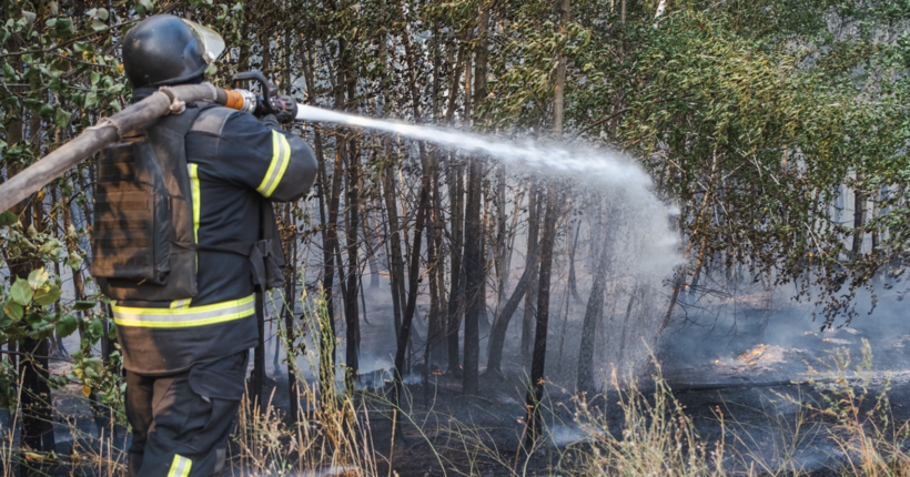 Рятувальники ліквідували масштабну лісову пожежу на Донеччині