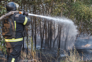 Рятувальники ліквідували масштабну лісову пожежу на Донеччині