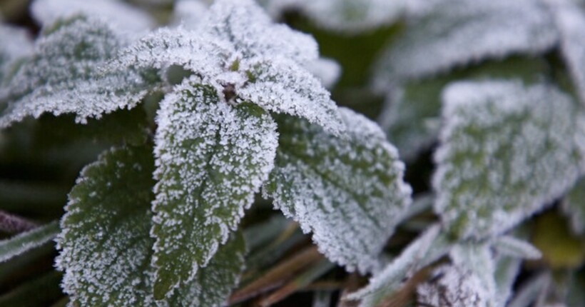 Від 0° вночі до +15° вдень: якою буде погода 20 жовтня в Україні