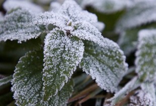 Від 0° вночі до +15° вдень: якою буде погода 20 жовтня в Україні