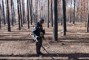 Піротехніки знищили 18 вибухонебезпечних предметів на Донеччині