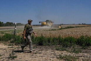 Окупанти на Херсонщині збираються відбирати овочі у фермерів, - ЦНС