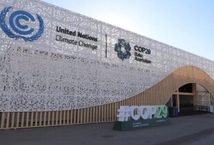 Україна на COP29: Гринчук назвала три вагомі цілі участі у Конференції ООН зі зміни клімату