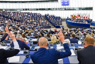 Європарламент не визнав вибори в Грузії через порушення стандартів демократії