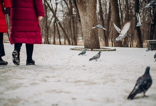 Суха погода, без опадів: синоптик спрогнозувала погоду на вихідні