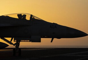 Американський винищувач F/A-18 був помилково збитий "дружнім вогнем" у Червоному морі