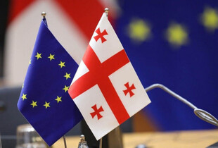Німеччина призупинила фінансування проєктів у Грузії на €237 млн