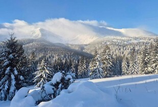 У Карпатах вирує шторм: рятувальники закликають утриматися від поході у гори