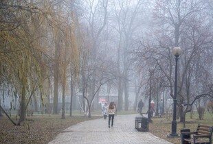 Зранку туман, опади малоймовірні: прогноз погоди на 21 січня