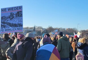 Протести у Німеччині: сотні тисяч людей вийшли проти ультраправої AfD (відео)