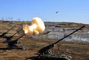 Сили оборони вперше уразили північнокорейську САУ "Коксан"