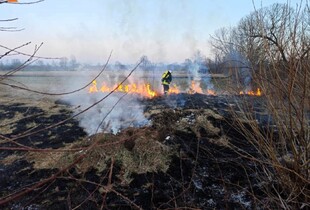 Рятувальники показали наслідки пожеж в Україні минулої доби (фото)