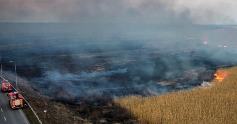 Масштабні пожежі в Україні: майже 450 займань за добу, вигоріло понад 228 га