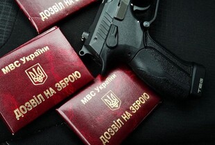 Дозвіл на зброю в Дії: Федоров оголосив про запуск послуги