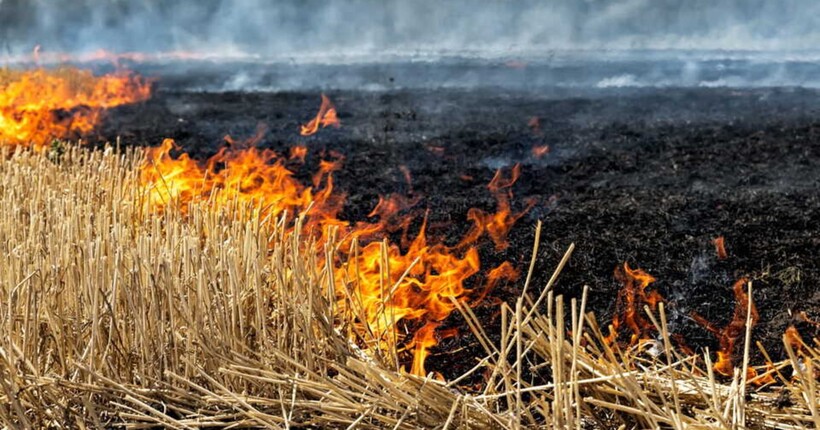 На Хмельниччині через підпали трави згоріли дев’ять будівель - ДСНС