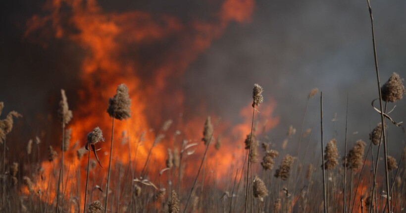 На Одещині рятувальники ліквідовують масштабну пожежу на відкритій території