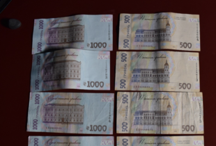 На Харківщині затримали зловмисників, які тероризували пенсіонерів
