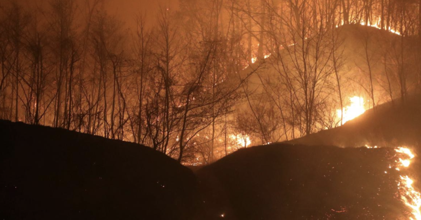 У Південній Кореї спалахнули лісові пожежі, є жертви