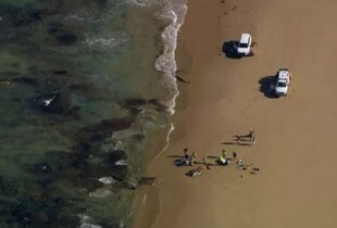 Вертоліт з пасажирами впав у море в Австралії