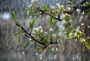 В Україну йдуть дощі і похолодання: прогноз погоди на 5 травня