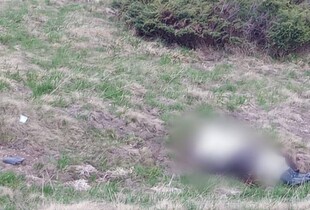 На Закарпатті неподалік кордону виявили тіло людини