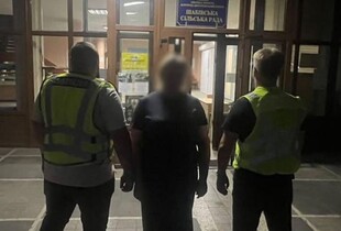 Злочинне угруповання постане перед судом за фіктивне оформлення багатодітного батьківства для уникнення мобілізації